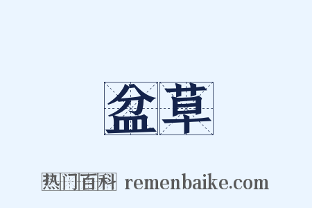 盆草是什么意思的图片